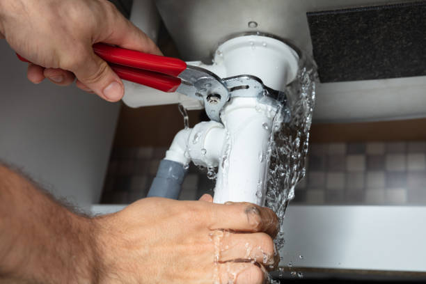Best Mold removal after water damage  in Happy Valley, CA