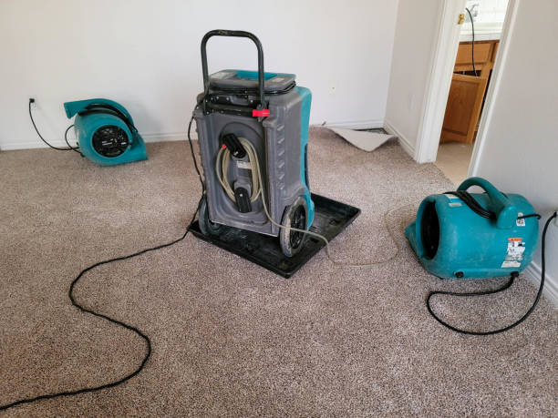 Best Local water damage restoration  in Happy Valley, CA