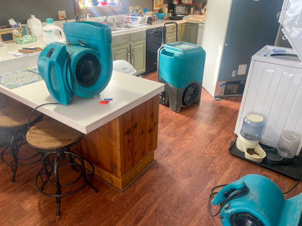 Best Basement water damage restoration  in Happy Valley, CA