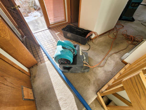  Happy Valley, CA Water damage restoration Pros