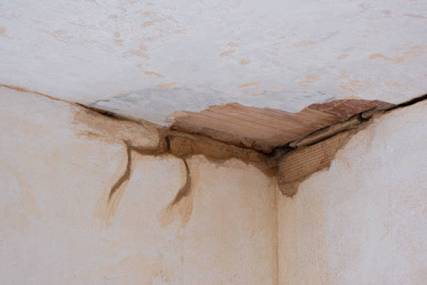 Best Carpet water damage restoration  in Happy Valley, CA